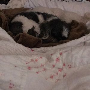 Meet your Posher, Jill